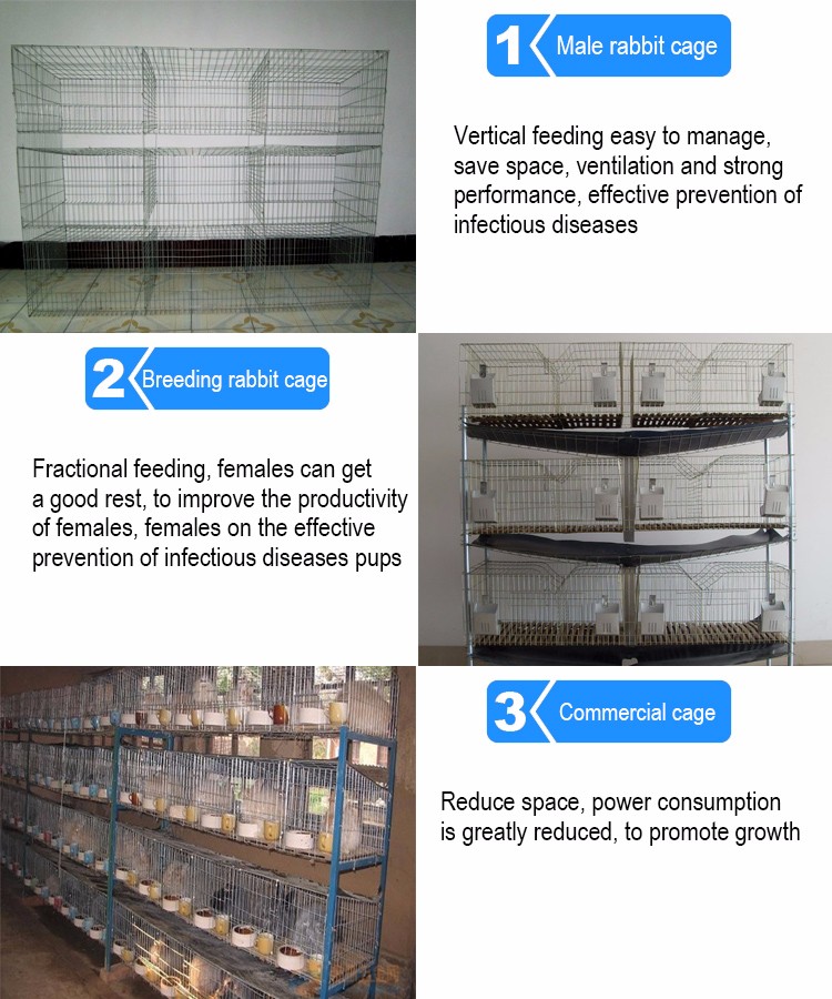Rabbit farming cages for sale sales